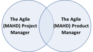 Critical Roles For Agile Leadership